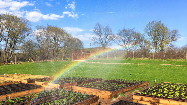 Farm successfully combines farming and activities for children