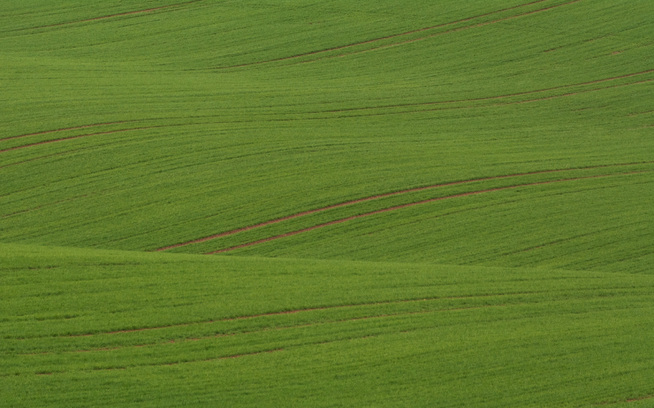 How are Bulgaria's agricultural lands being used today?